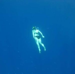 Meet your Posher, Missy